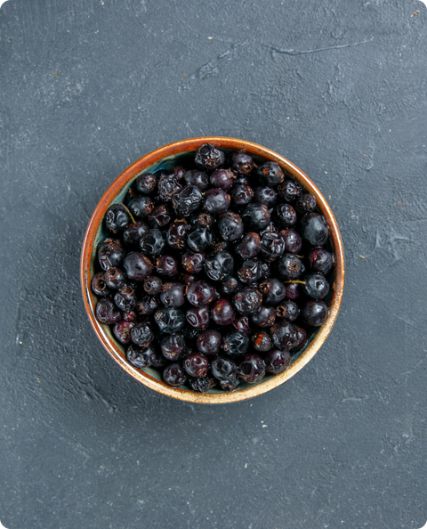Health Benefits of Black Elderberry