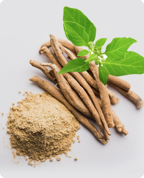 When Is the Best Time to Take Ashwagandha?