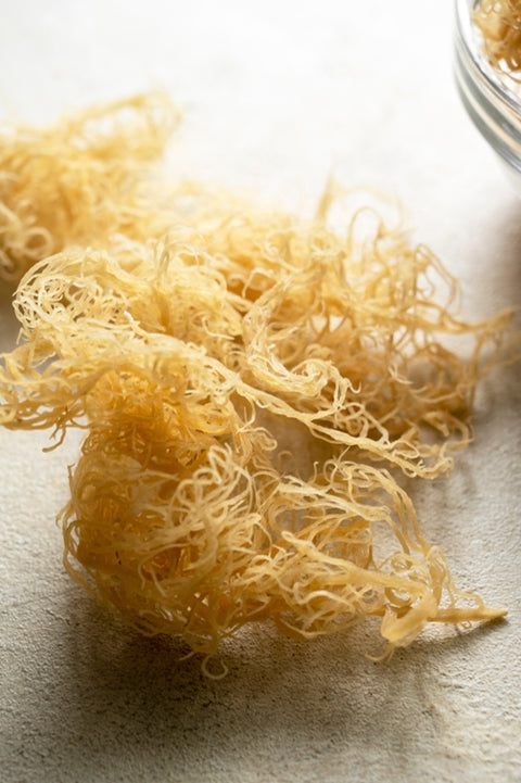 When Is The Best Time To Take Sea Moss: At Night Or In The Morning?