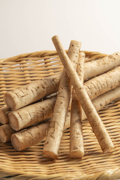 Understanding the Health Benefits of Bladderwrack and Burdock Root for Health and Wellness