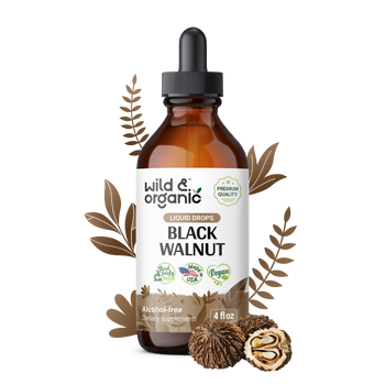Black Walnut Tincture - 4 fl.oz. Bottle