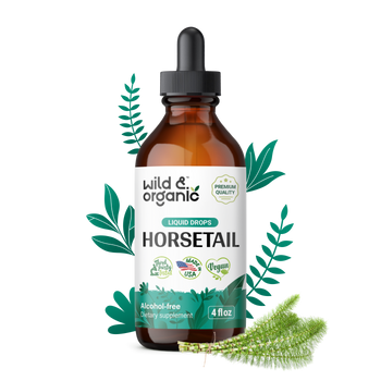 Horsetail Tincture - 4 fl.oz. Bottle