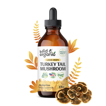 Turkey Tail Mushroom Tincture - 4 fl.oz. Bottle